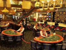 46倍狮子森林舞会2024最新版